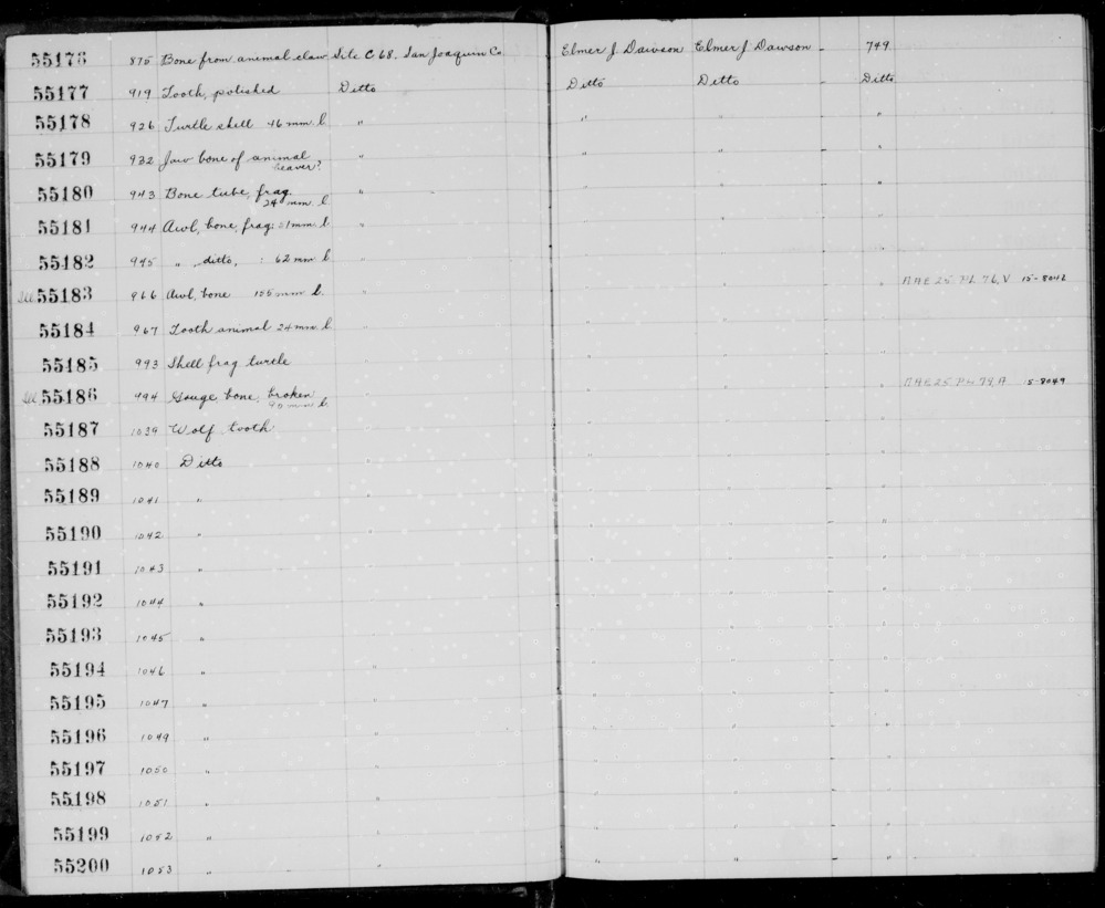 Documentation associated with Hearst Museum object titled Tooth, accession number 1-55194, described as Wolf.