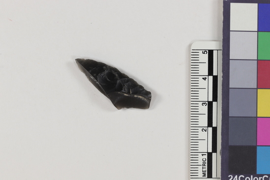 Hearst Museum object 1 of 2 titled Flake, accession number 16-14417, described as Projectile point fragment; obsidian; triangular; weight: 2.33 grams; length: 3.45 cm; width: 1.3 cm; depth: 0.64 cm.