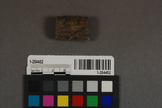 Hearst Museum object titled Cork, accession number 1-254452, no description available.