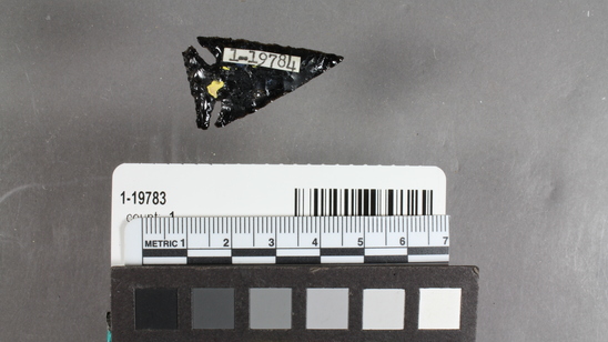 Hearst Museum object titled Point, accession number 1-19784, described as Obsidian