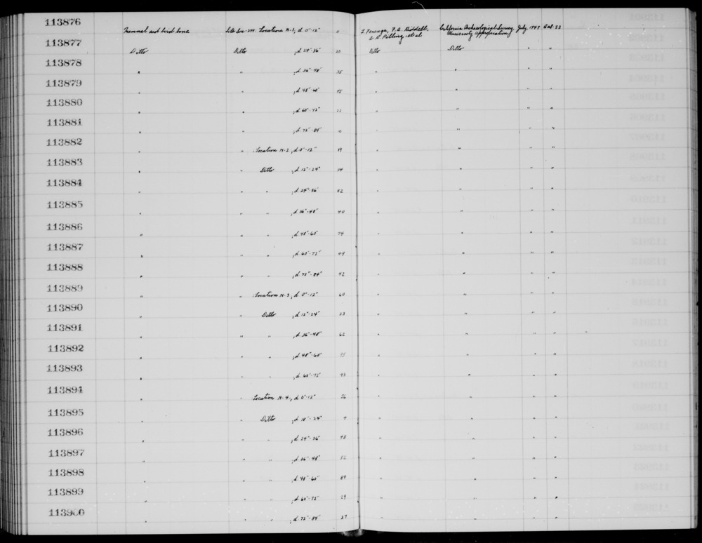 Documentation associated with Hearst Museum object titled Faunal remains, accession number 1-113877, described as Mammal and bird.