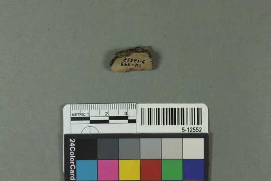 Hearst Museum object titled Potsherd, accession number 5-12552, described as Sherds, rim sherd