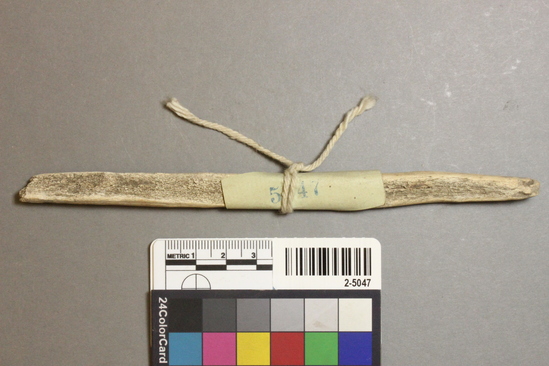 Hearst Museum object titled Antler, accession number 2-5047, described as deer antler implement