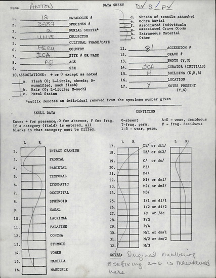 Documentation associated with Hearst Museum object titled Human remains, accession number 12-3387A, described as Right tibia