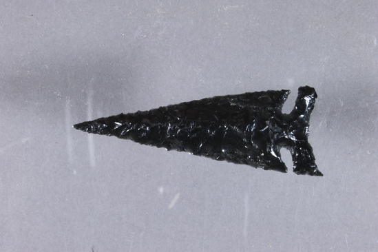 Hearst Museum object titled Projectile point, accession number 1-19513, described as Obsidian arrow point