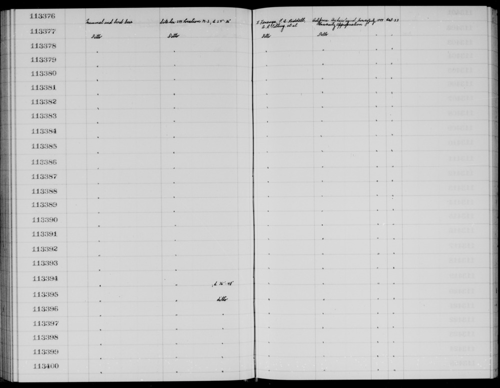 Documentation associated with Hearst Museum object titled Faunal remains, accession number 1-113392, described as Mammal and bird.