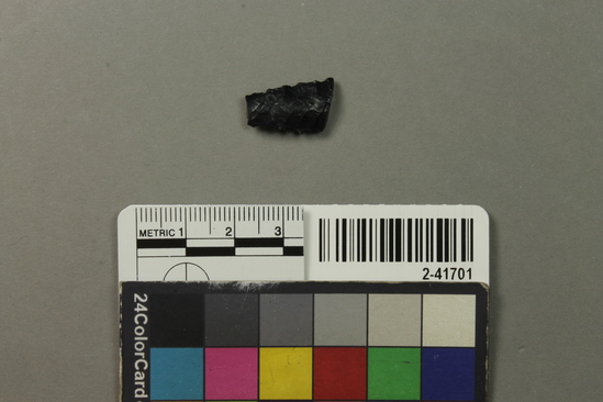 Hearst Museum object titled Projectile point, accession number 2-41701, described as No description given on catalog card.