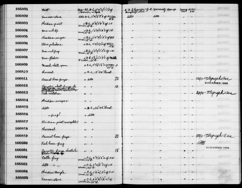 Documentation associated with Hearst Museum object titled Metatarsal frag, l, accession number 1-166811.12, no description available.