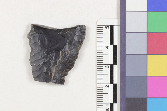 Hearst Museum object 1 of 2 titled Flake fragment, accession number 16-14385, described as Projectile point fragment; obsidian; triangular; weight: 6.41 grams; length: 3.1 cm; width: 2.95 cm; depth: 0.5 cm.