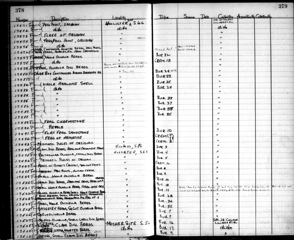 Documentation associated with Hearst Museum object titled Abalone shell, accession number L-17486, described as Whole.