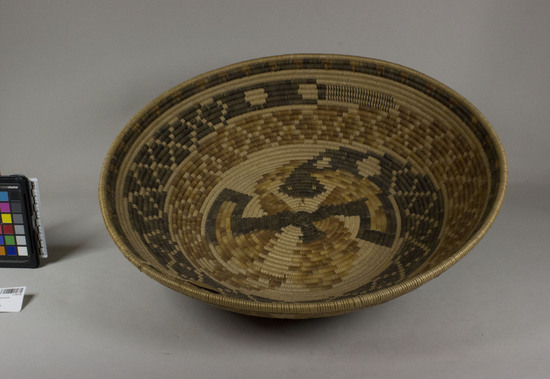 Hearst Museum object 3 of 3 titled Winnowing tray, accession number 1-70119, described as Coiled, deep tray.  Tag: "Mission Type" "Snake".   Per Ralph Shanks:  Broad low bowl in shape of winnower; made for sale.  Materials include a deergrass bundle foundation and orange, tan, and black dyed juncus wefts.  The primary design is a coiled rattlesnake.  The workface is on the inside.  The wefts are bound under and the work direction is to the right.  The basket has a plain wrapped rim with a half inch long herringbone finish.