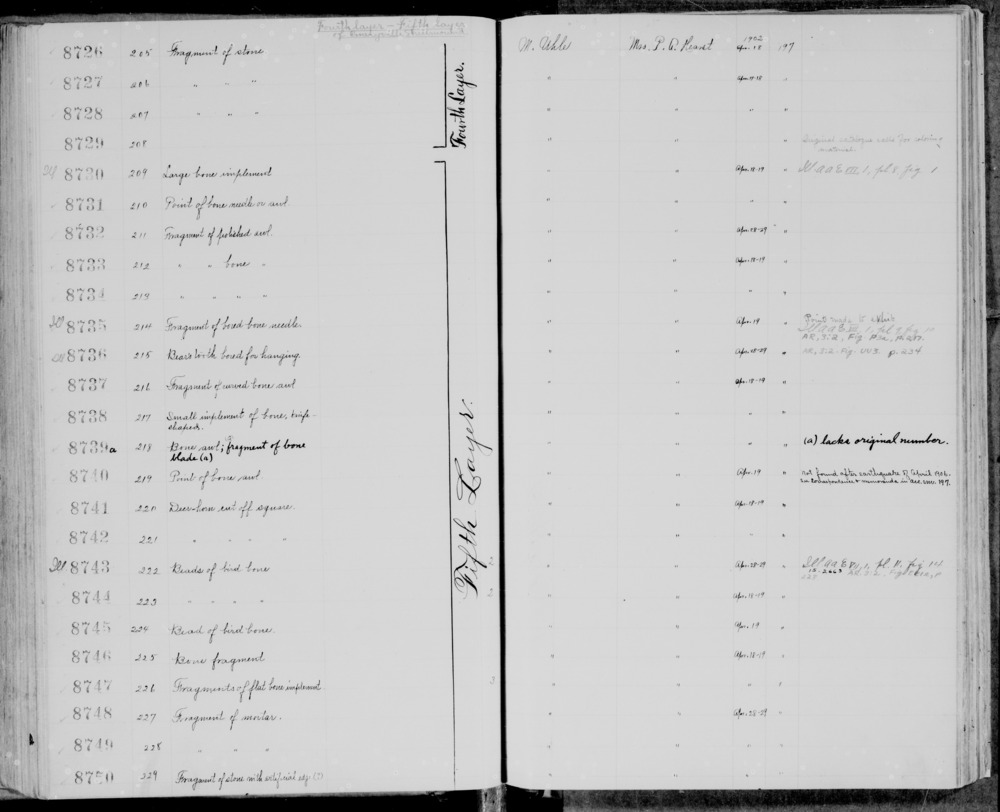 Documentation associated with Hearst Museum object titled Awl, accession number 1-8739a, described as both bone awl and blade