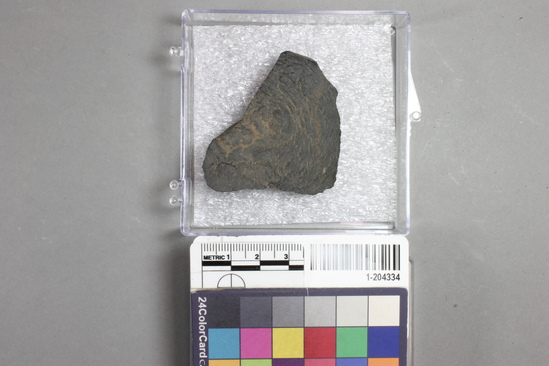 Hearst Museum object titled Flake, accession number 1-204334, described as basalt flake