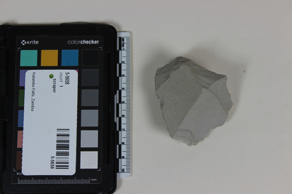 Hearst Museum object titled Scraper, accession number 5-5658, described as Chert scraper; L. 6.5 cm