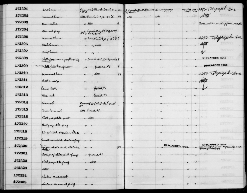 Documentation associated with Hearst Museum object titled Shell, accession number 1-172308, described as Mytilus californianus, Tegula funebralis.