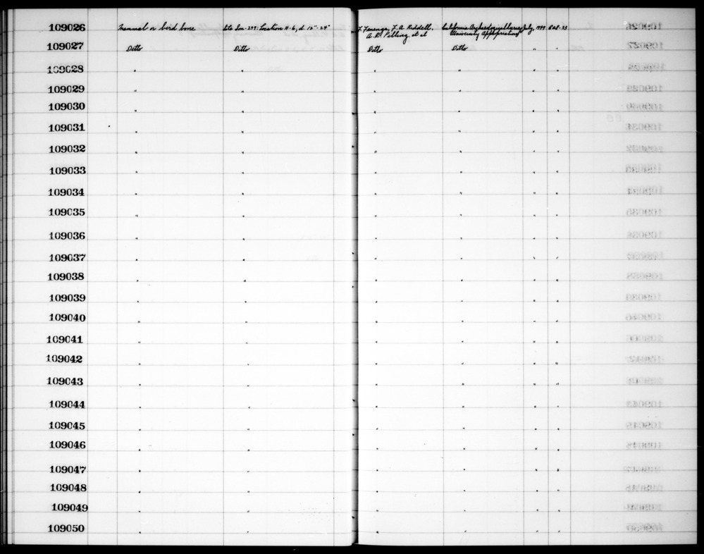 Documentation associated with Hearst Museum object titled Faunal remains, accession number 1-109044, described as Mammal or bird.