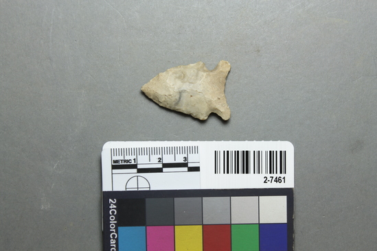 Projectile point