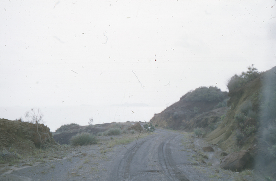 Hearst Museum object titled Color slide, accession number 25-543, described as Road to Bay of Pirogue
