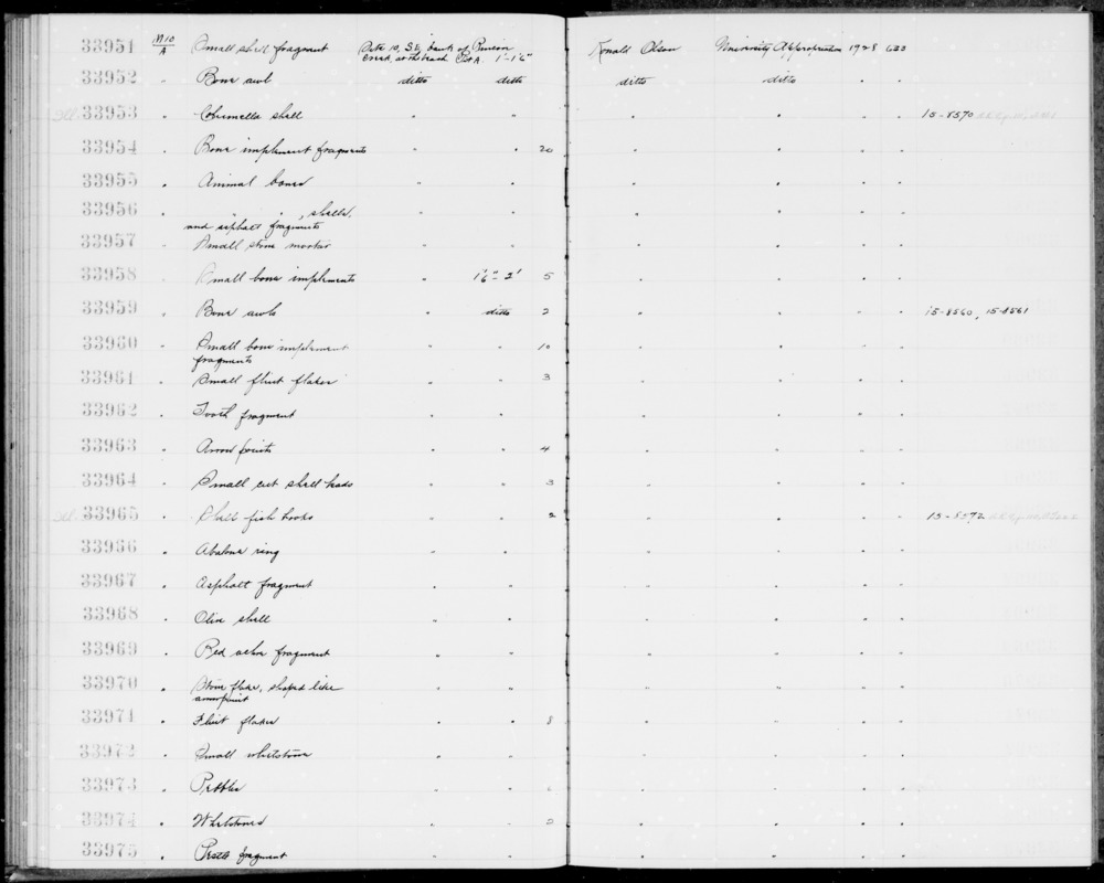 Documentation associated with Hearst Museum object titled Shell fragment, accession number 1-33951, described as Small shell fragment