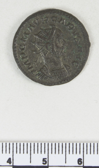 Hearst Museum object 3 of 10 titled Coin: billon antoninianus, accession number 8-4388, described as Coin; Billon; Antoninianus; Roman. 4.76 grams, 23 mm. Carus, 282-285 AD. Lyon, France. Obverse: IMP C M AVR CARVS AVG, bust r. radiate, cuirassed. Reverse: VICTORIA AVGG, Victory l. on globe between two captives; to l., A.