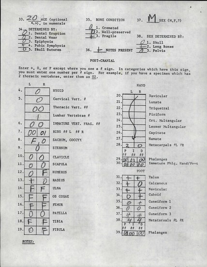 Documentation associated with Hearst Museum object titled Human remains, accession number 12-8744(0), described as Remains of one young adult (20 year old) male.