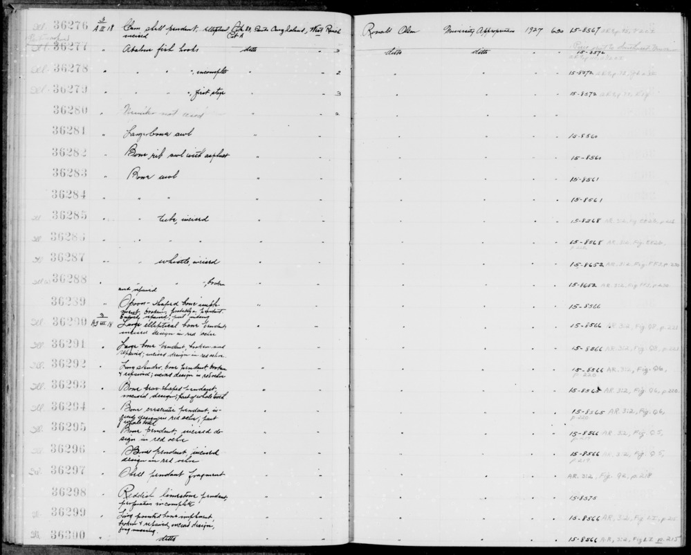 Documentation associated with Hearst Museum object titled Fishhooks, accession number 1-36279, described as Abalone fishhooks, first stage.