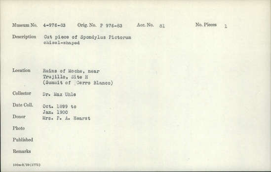 Documentation associated with Hearst Museum object titled Worked shell, accession number 4-980, described as Cut piece of Spondylus pictorum, chisel-shaped.