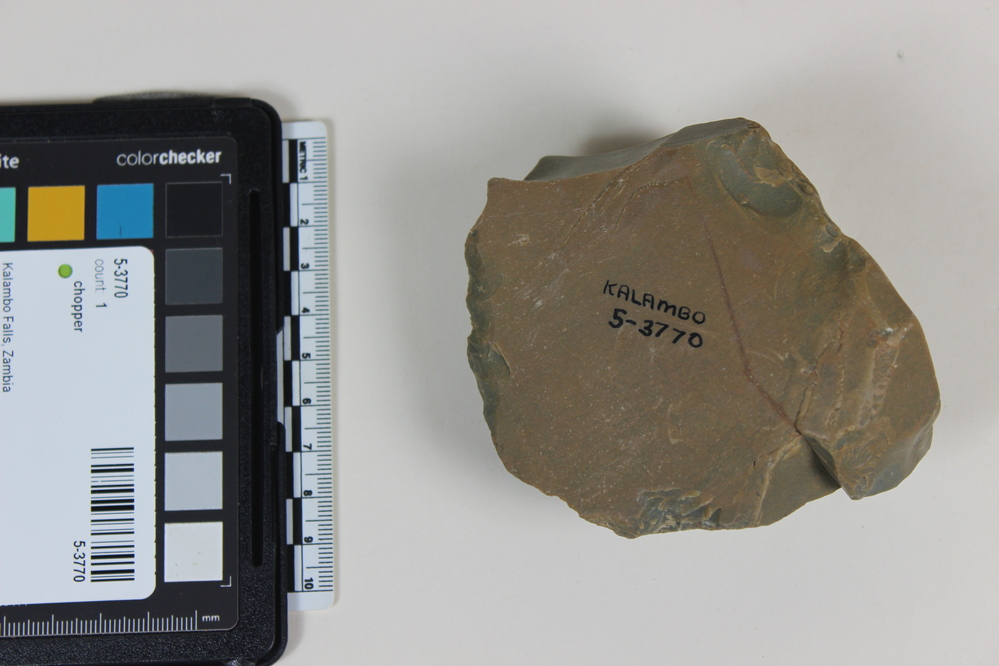 Hearst Museum object titled Chopper, accession number 5-3770, described as Chert chopper; 8.8 x 10.0 cm.