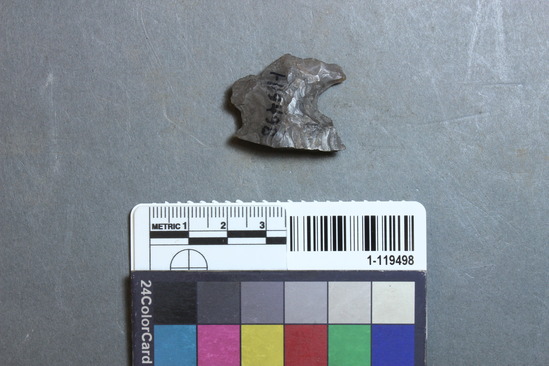 Hearst Museum object titled Projectile point, accession number 1-119498, described as Projectile point fragment, chert