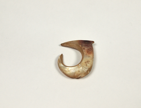 Hearst Museum object titled Shell fishhook, accession number 11-232, described as Shell fish-hook.