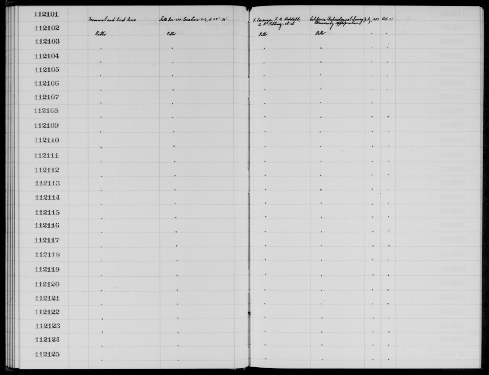 Documentation associated with Hearst Museum object titled Faunal remains, accession number 1-112123, described as Mammal and bird.