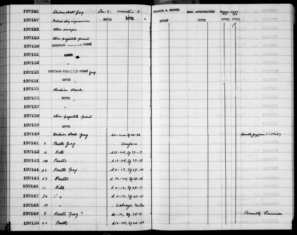 Documentation associated with Hearst Museum object titled Shell fragment, accession number 1-197126, described as Abalone. Notice: Image restricted due to its potentially sensitive nature. Contact Museum to request access.