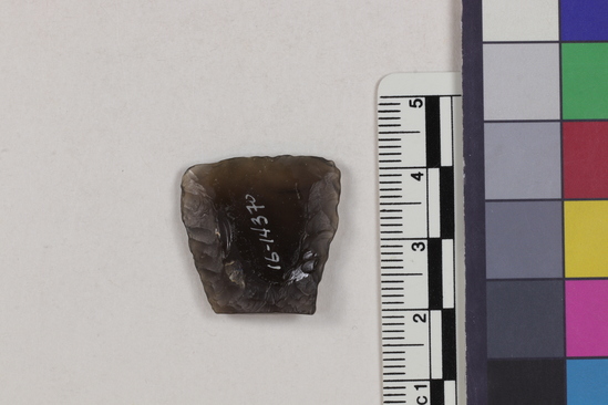 Hearst Museum object 2 of 2 titled Flake fragment, accession number 16-14370, described as Projectile point fragment; obsidian; triangular; weight: 3.29 grams; length: 2.57 cm; width: 2.26 cm; depth: 0.6 cm.