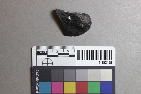 Hearst Museum object titled Blade fragment, accession number 1-152455, described as Obsidian.