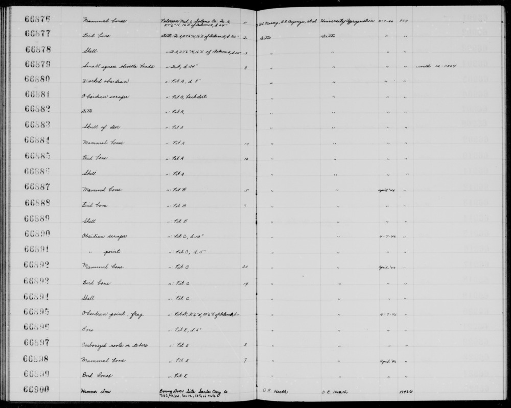 Documentation associated with Hearst Museum object titled Phalanx, accession number 1-66884.2, no description available.