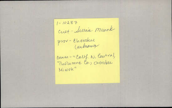 Documentation associated with Hearst Museum object titled Paddle, accession number 1-10287, described as Mush paddle, flat, with semi-squared blade.  Made of manzanita wood.