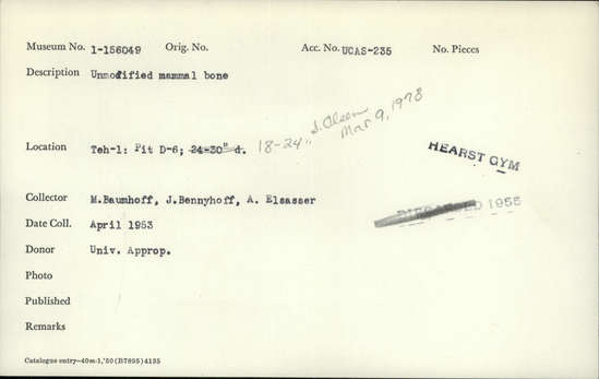 Documentation associated with Hearst Museum object titled Faunal remains, accession number 1-156049, described as Unmodified, mammal.