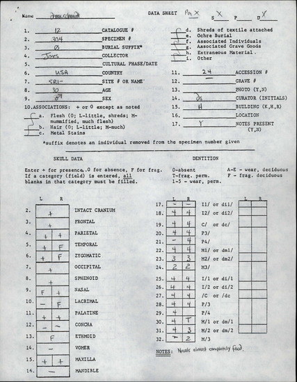 Documentation associated with Hearst Museum object titled Human remains, accession number 12-304, described as Nearly complete skull of a male, age approximately 30 years.