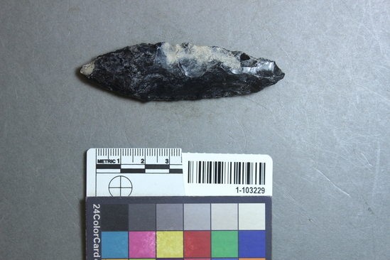 Hearst Museum object titled Point, accession number 1-103229, described as Obsidian.