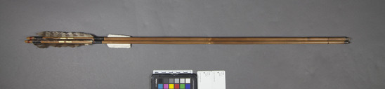 Hearst Museum object titled Arrow, accession number 9-1759, described as Japanese target arrow; polished bamboo shaft; metal tip; length 35.5 in