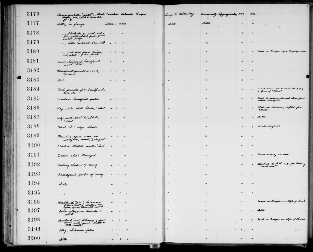 Documentation associated with Hearst Museum object titled Paddle, accession number 11-3176, described as dance paddle, “patil”; black design, red, white and lavender fringe