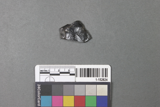 Hearst Museum object titled Blade fragment, accession number 1-152824, described as Obsidian.