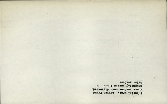 Documentation associated with Hearst Museum object titled Bead, accession number 16-2861, described as Olive shell; top of spire rubber off