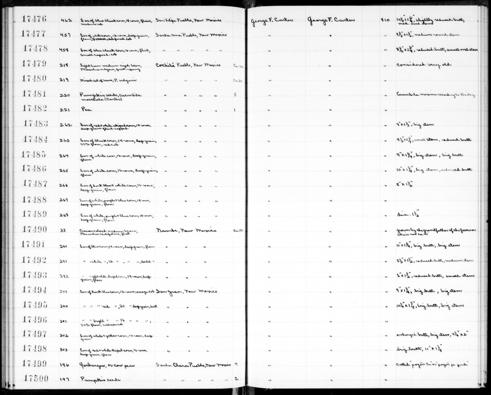 Documentation associated with Hearst Museum object titled Beans, accession number 2-17490, described as Cream colored medium beans, Phaseolus acutifolius, flat.