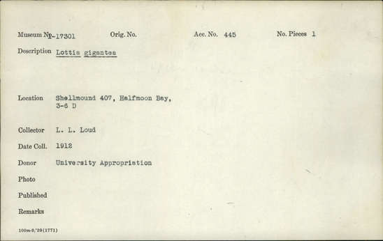 Documentation associated with Hearst Museum object titled Shell, accession number 1-17301, described as Lottia gigantea.