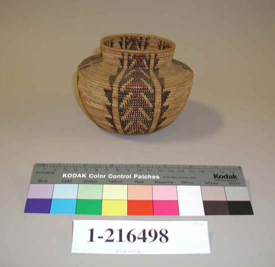 Hearst Museum object titled Basket, accession number 1-216498, described as bottleneck basket; coiled.  4 vertical rows of design.  Stacked design elements.  rattlesnake pattern.  coiled on bundle foundation with sedge root.  decorated with braken fern root and redbud.