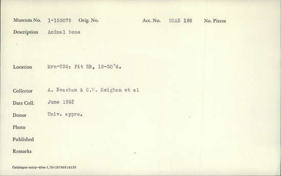 Documentation associated with Hearst Museum object titled Faunal remains, accession number 1-155075, described as Animal bone, including marine mammal vertebra and humerus.
