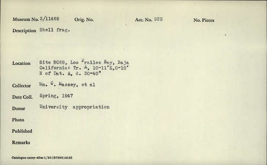 Documentation associated with Hearst Museum object titled Shell fragment, accession number 3-11489, described as Shell fragment.