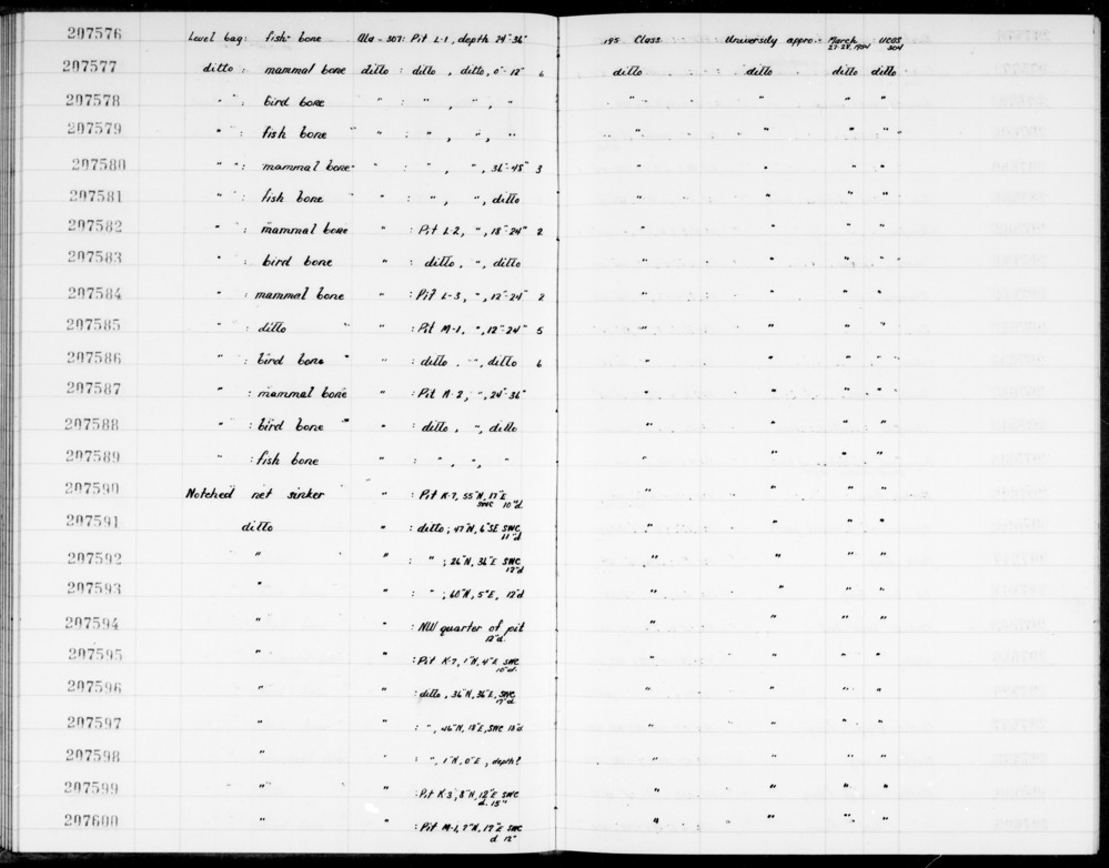 Documentation associated with Hearst Museum object titled Bird bone, accession number 1-207583.2, described as 1 bird bone fragment