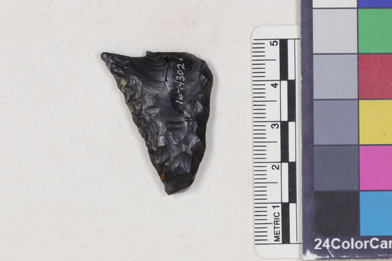 Hearst Museum object titled Projectile point fragment, accession number 16-14302, described as Projectile point; obsidian; triangular; weight: 5.37 grams; length: 3.5 cm; width: 2.8 cm; depth: 0.64 cm; straight sides; broken.